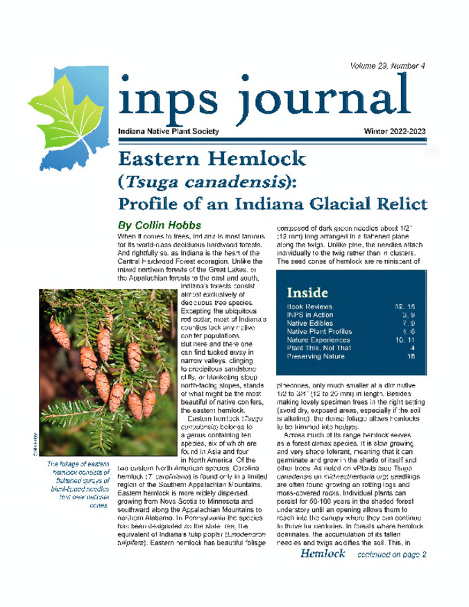 Eastern Hemlock (Tsuga canadensis): Profile of an Indiana Glacial Relict  Miniaturansicht